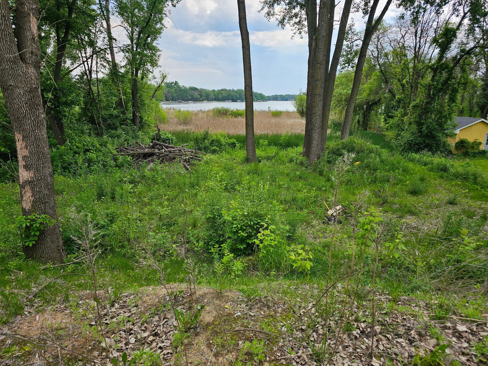 5XXXX 220th Street, Forest Lake, Minnesota image 3
