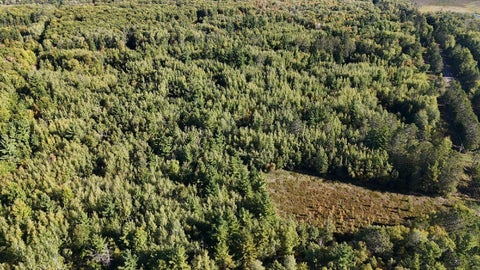 Vacant Land For Sale - TBD Estates<br/> Pine County, Kerrick, MN 55756