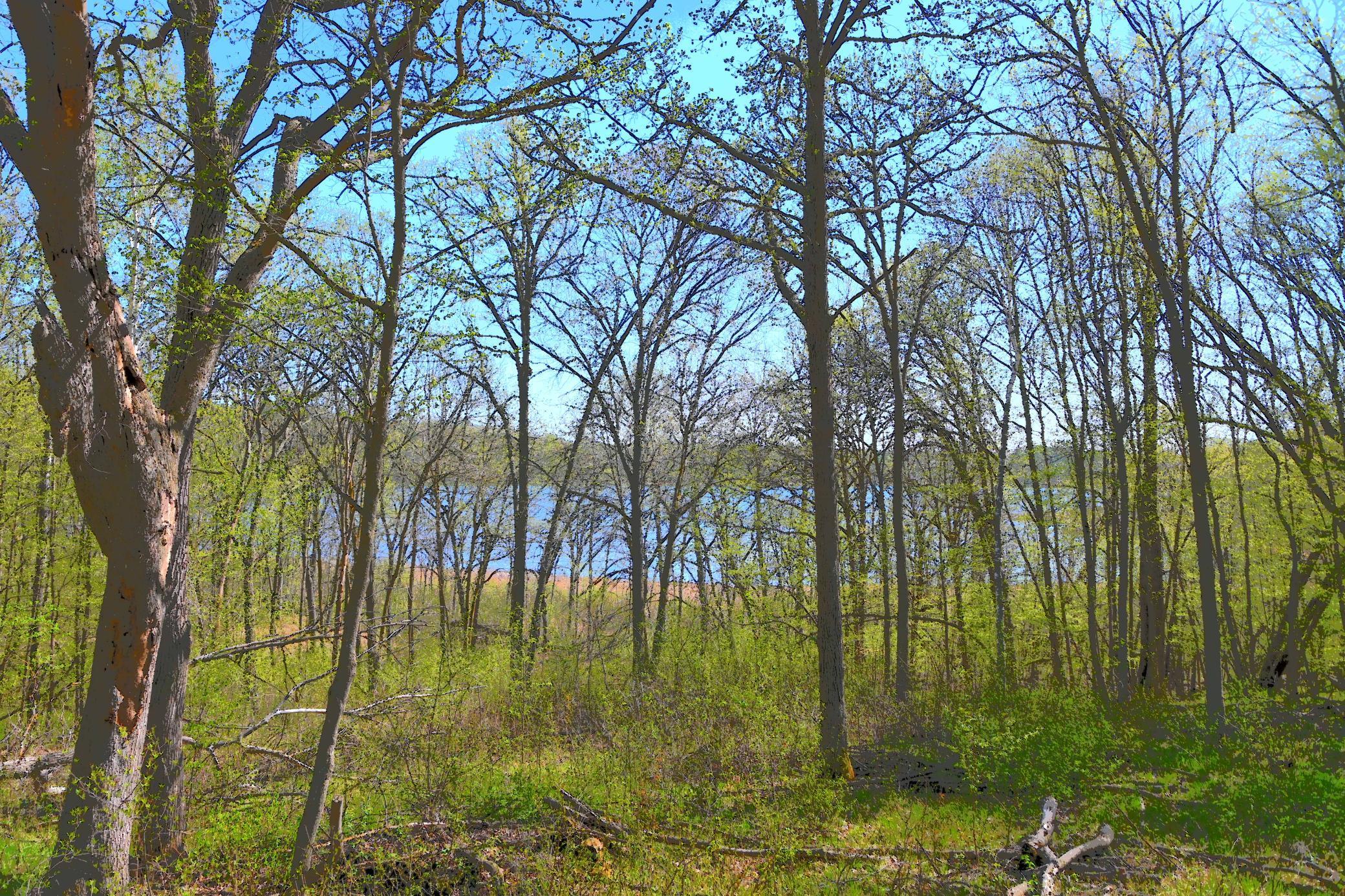 51 Ottawa Drive, Browerville, Minnesota image 4