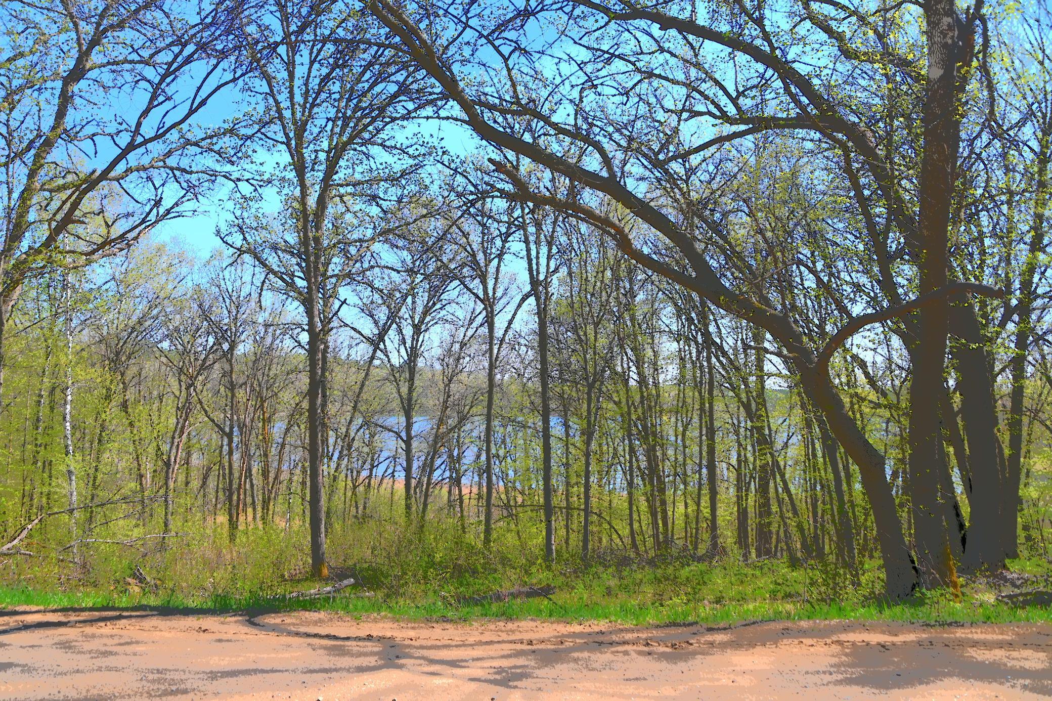 51 Ottawa Drive, Browerville, Minnesota image 1
