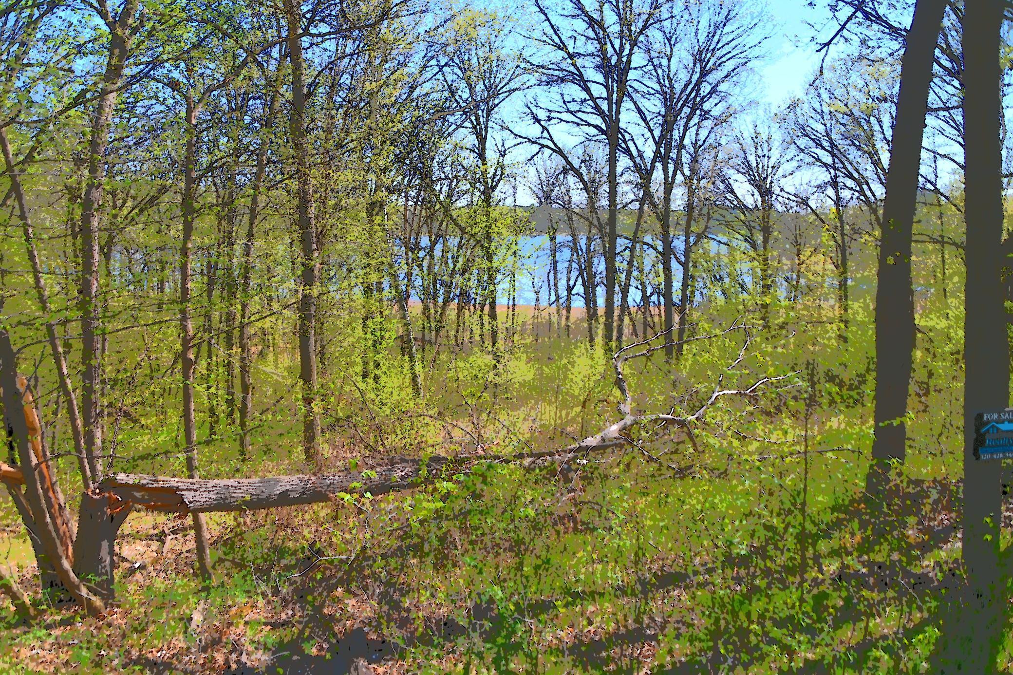 51 Ottawa Drive, Browerville, Minnesota image 2