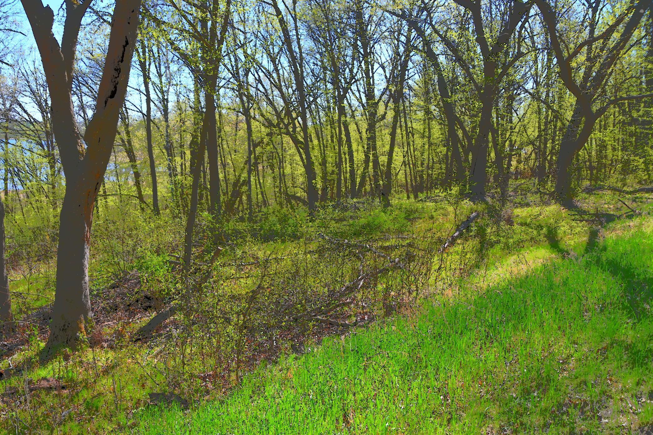 51 Ottawa Drive, Browerville, Minnesota image 5