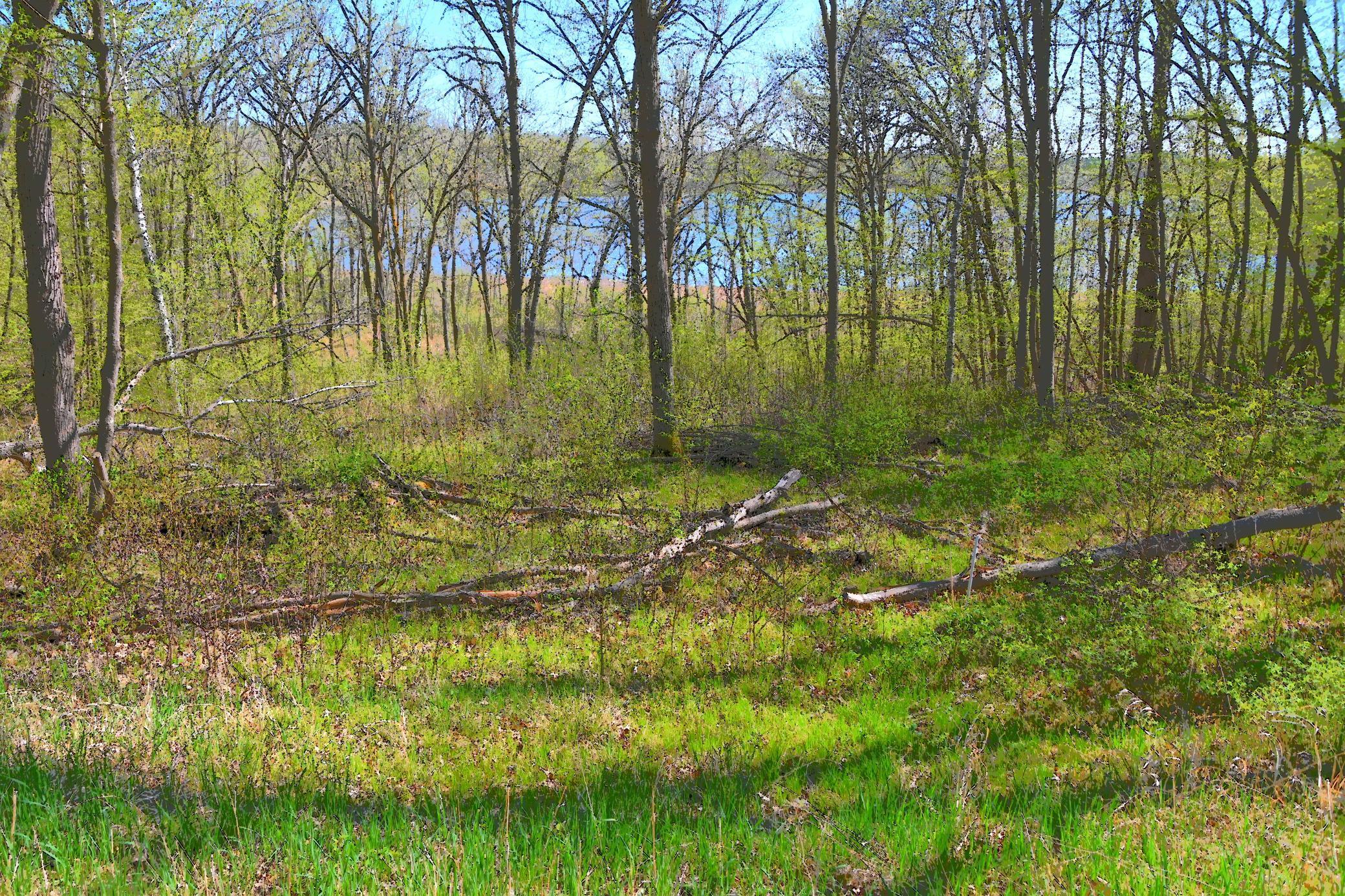 51 Ottawa Drive, Browerville, Minnesota image 6