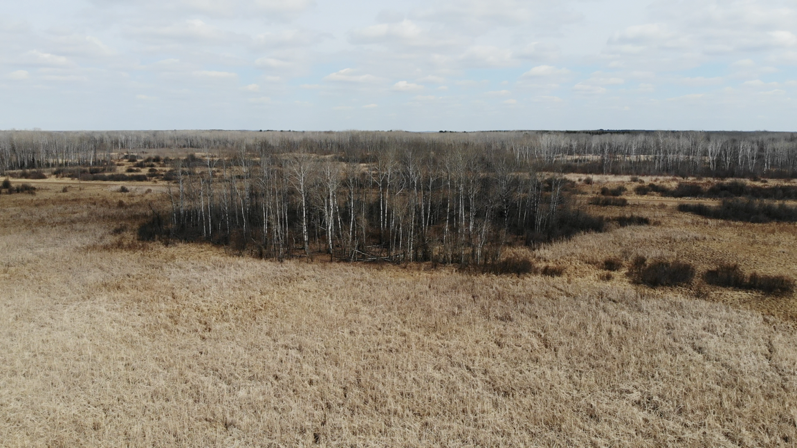 TBD Bunnyhill Road, Sebeka, Minnesota image 10
