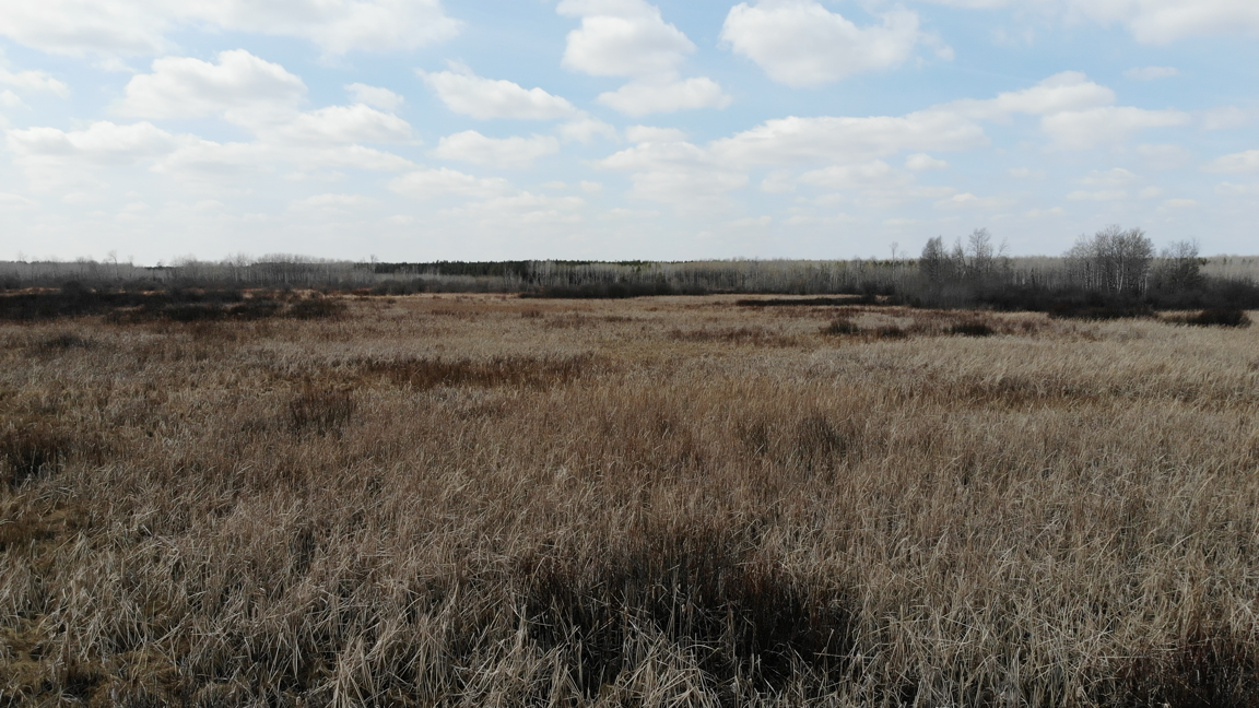 TBD Bunnyhill Road, Sebeka, Minnesota image 16