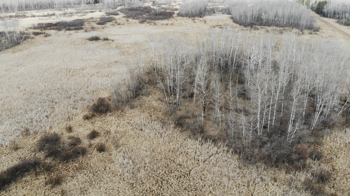 TBD Bunnyhill Road, Sebeka, Minnesota image 11