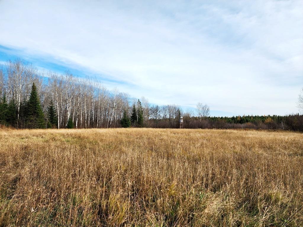 TBD County Rd 60, Grand Rapids, Minnesota image 40