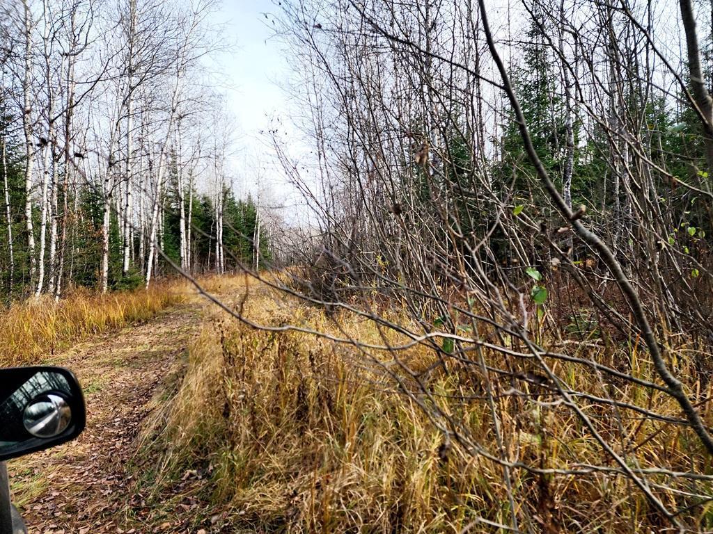 TBD County Rd 60, Grand Rapids, Minnesota image 36