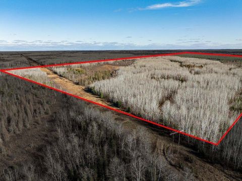 Vacant Land For Sale - TBD County Rd 60<br/> Grand Rapids, MN 55744