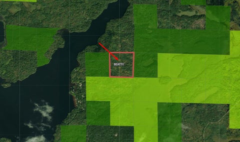 Vacant Land For Sale - TBD Tbd<br/> Cook, MN 55723
