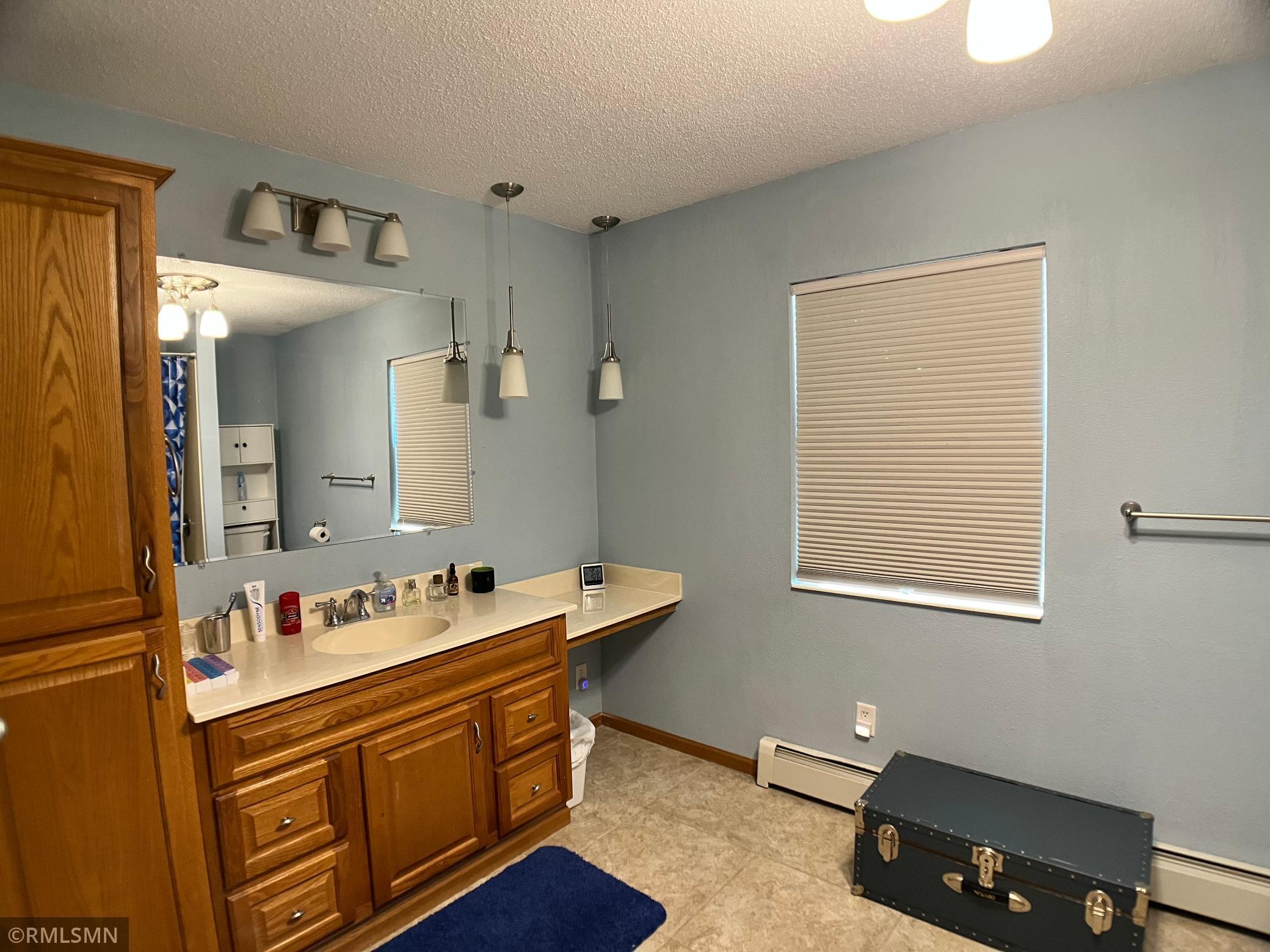 10306 Hemlock Street, Annandale, Minnesota image 21