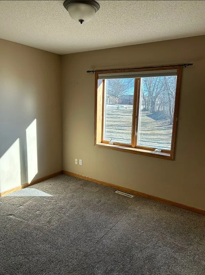 1308 River Drive, Wabasha, Minnesota image 15