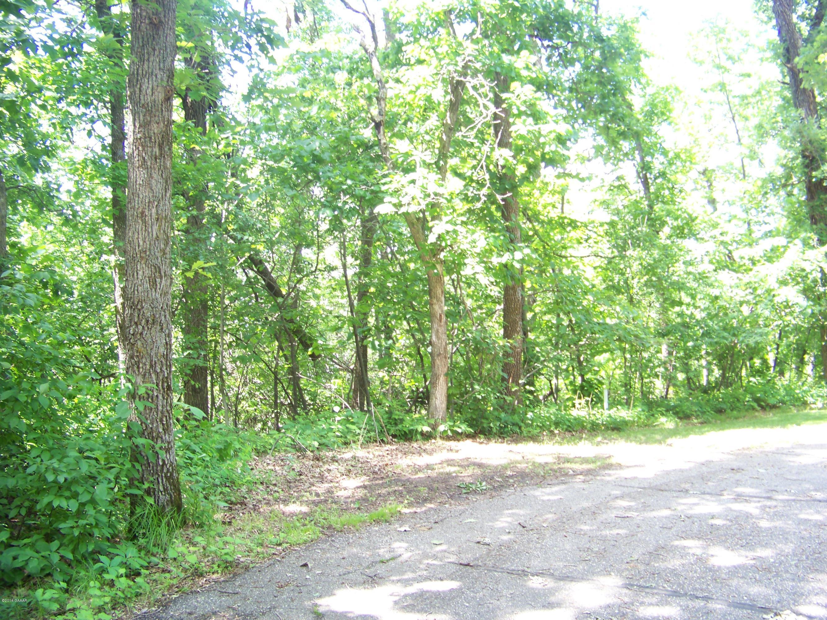 Lts 1 & 2 Oak Turn Again Court, Glenwood, Minnesota image 4