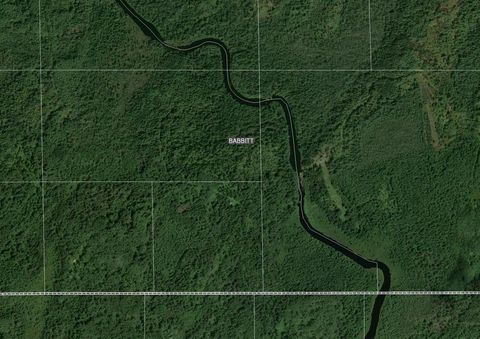 Vacant Land For Sale - Forest Rd<br/> Babbitt, MN 55706