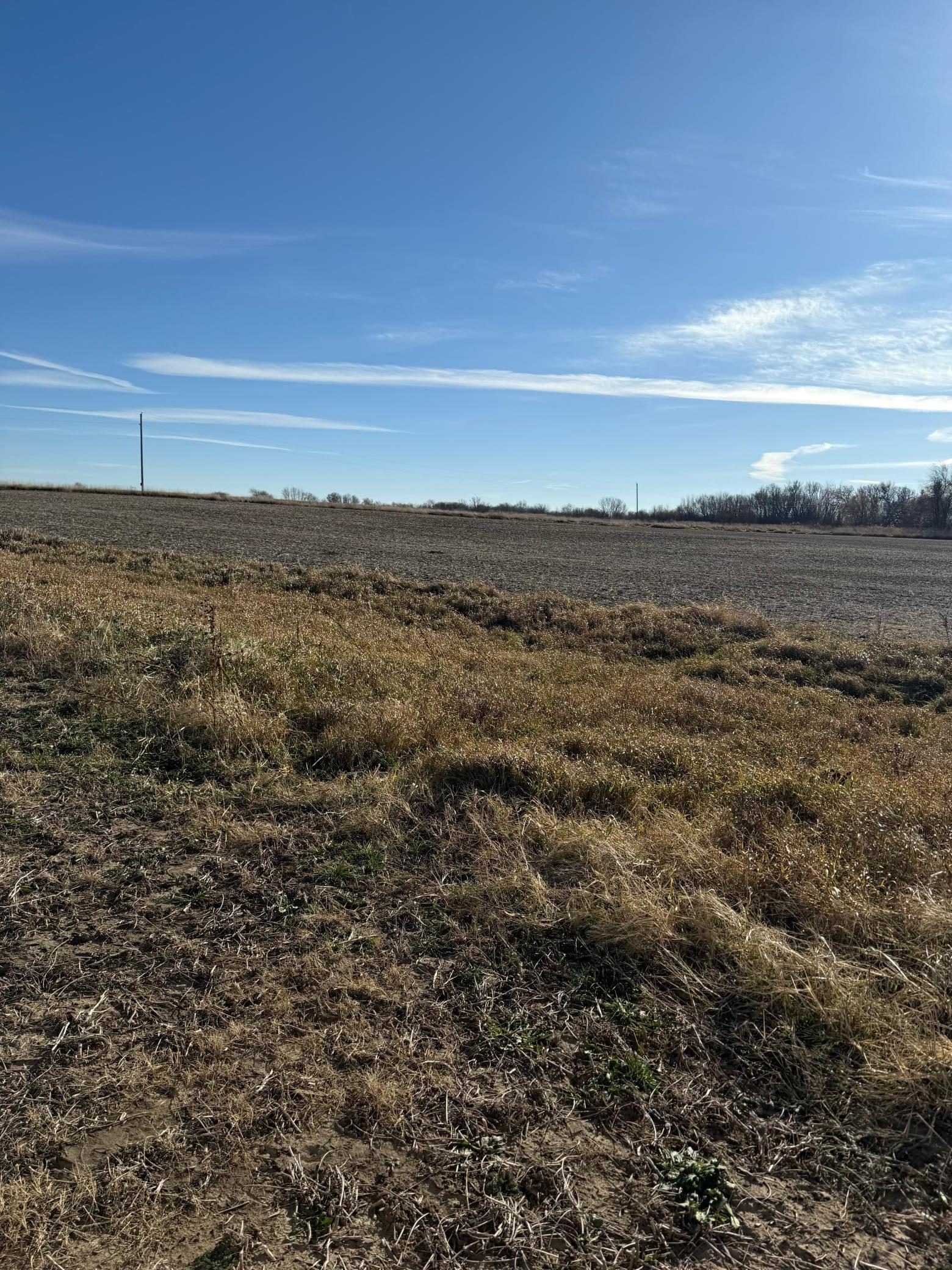 Tbd 70th Street, Eyota, Minnesota image 19