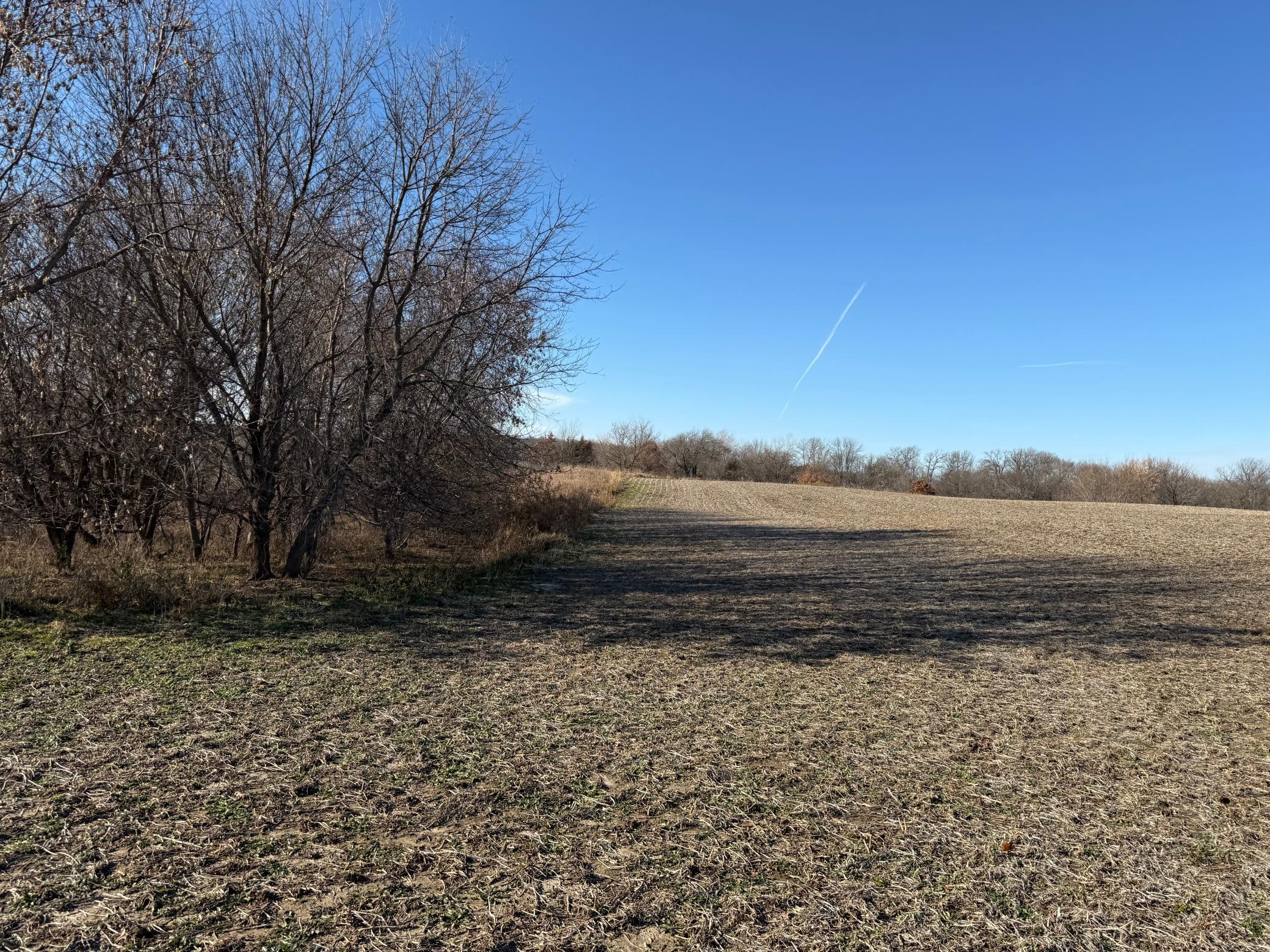 Tbd 70th Street, Eyota, Minnesota image 18