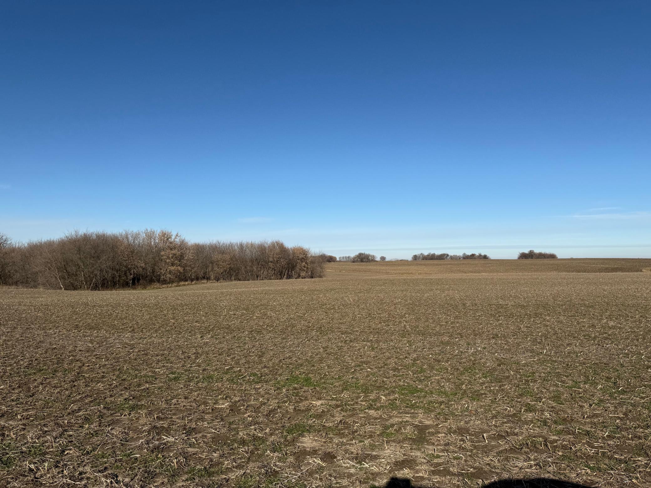 Tbd 70th Street, Eyota, Minnesota image 16