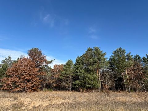 Vacant Land For Sale - L5BLK1 262nd Avenue<br/> Sherburne County, Big Lake, MN 55309