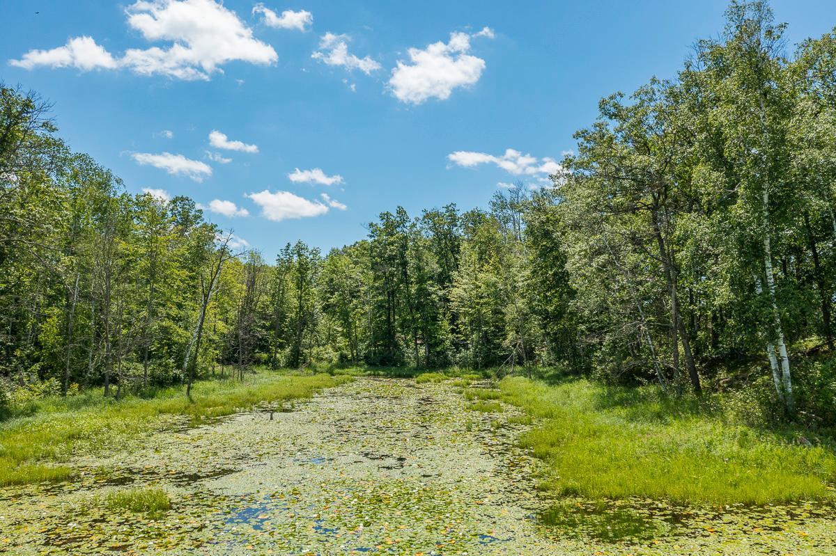 TBD Meadow Lake Road, Motley, Minnesota image 15