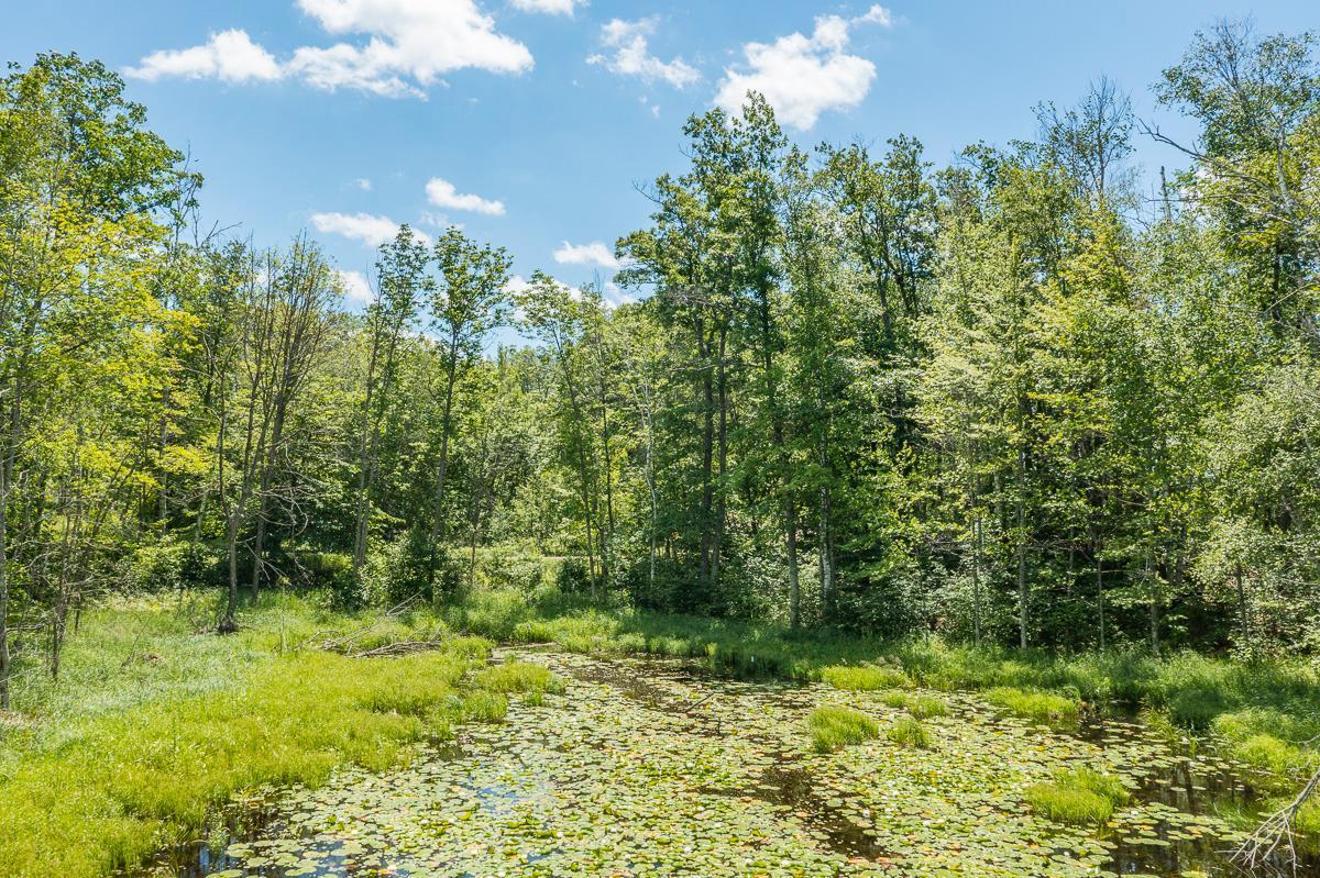 TBD Meadow Lake Road, Motley, Minnesota image 16
