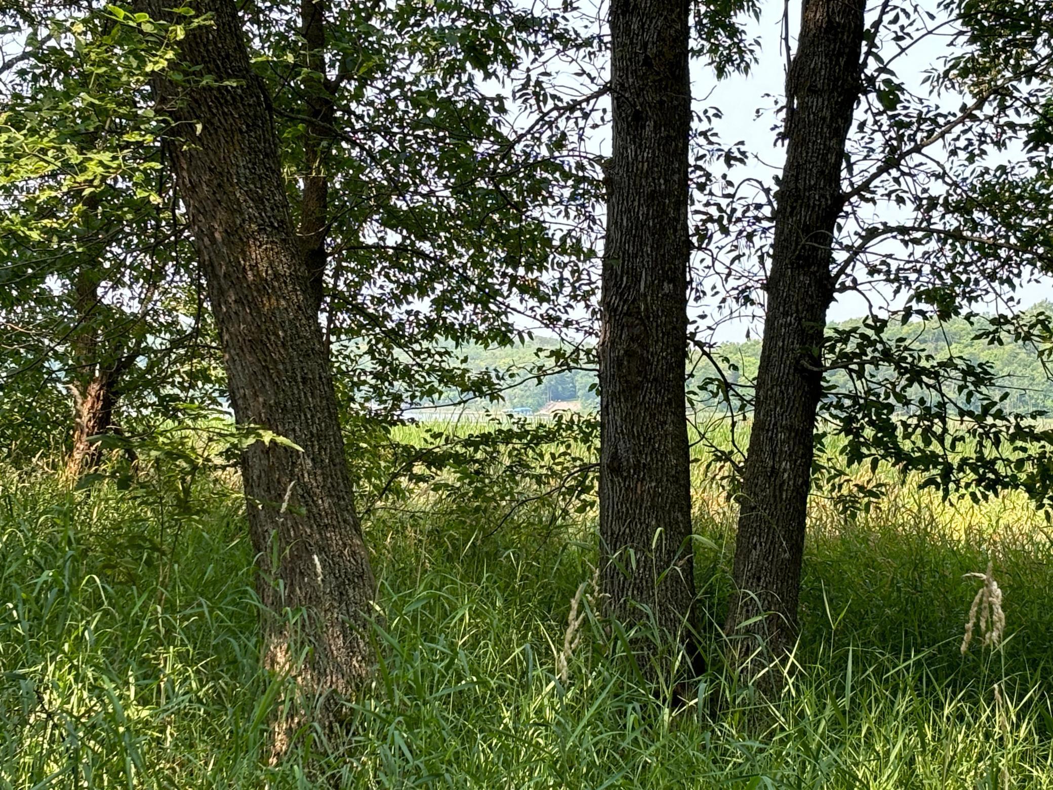 1250 Island Lake Resort Drive, Lengby, Minnesota image 1