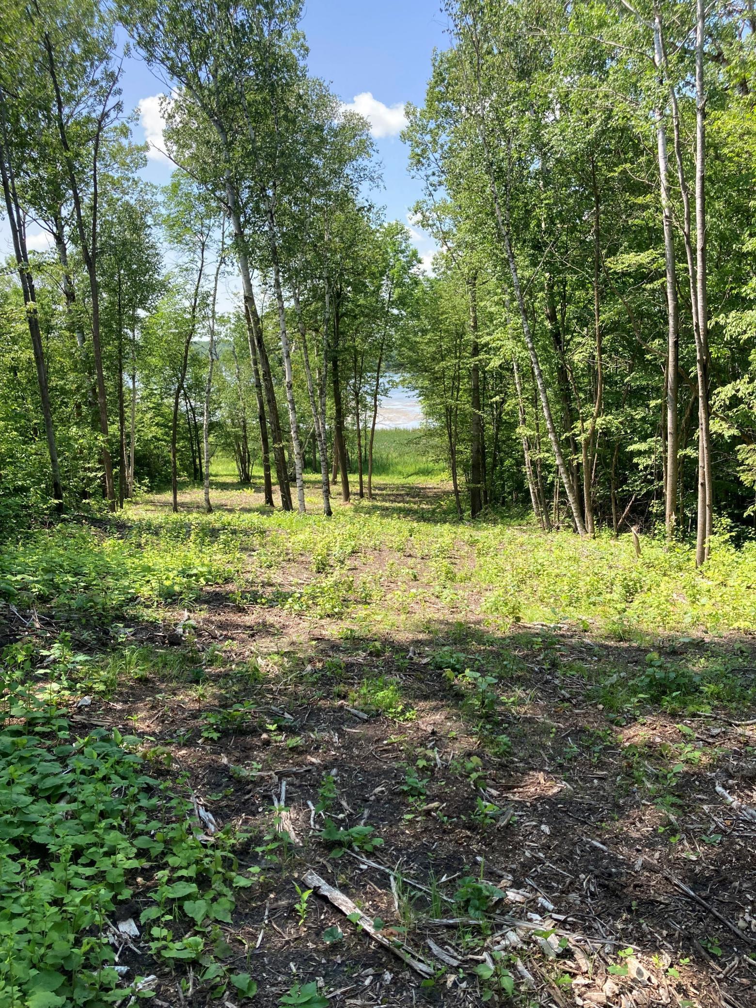 1250 Island Lake Resort Drive, Lengby, Minnesota image 4