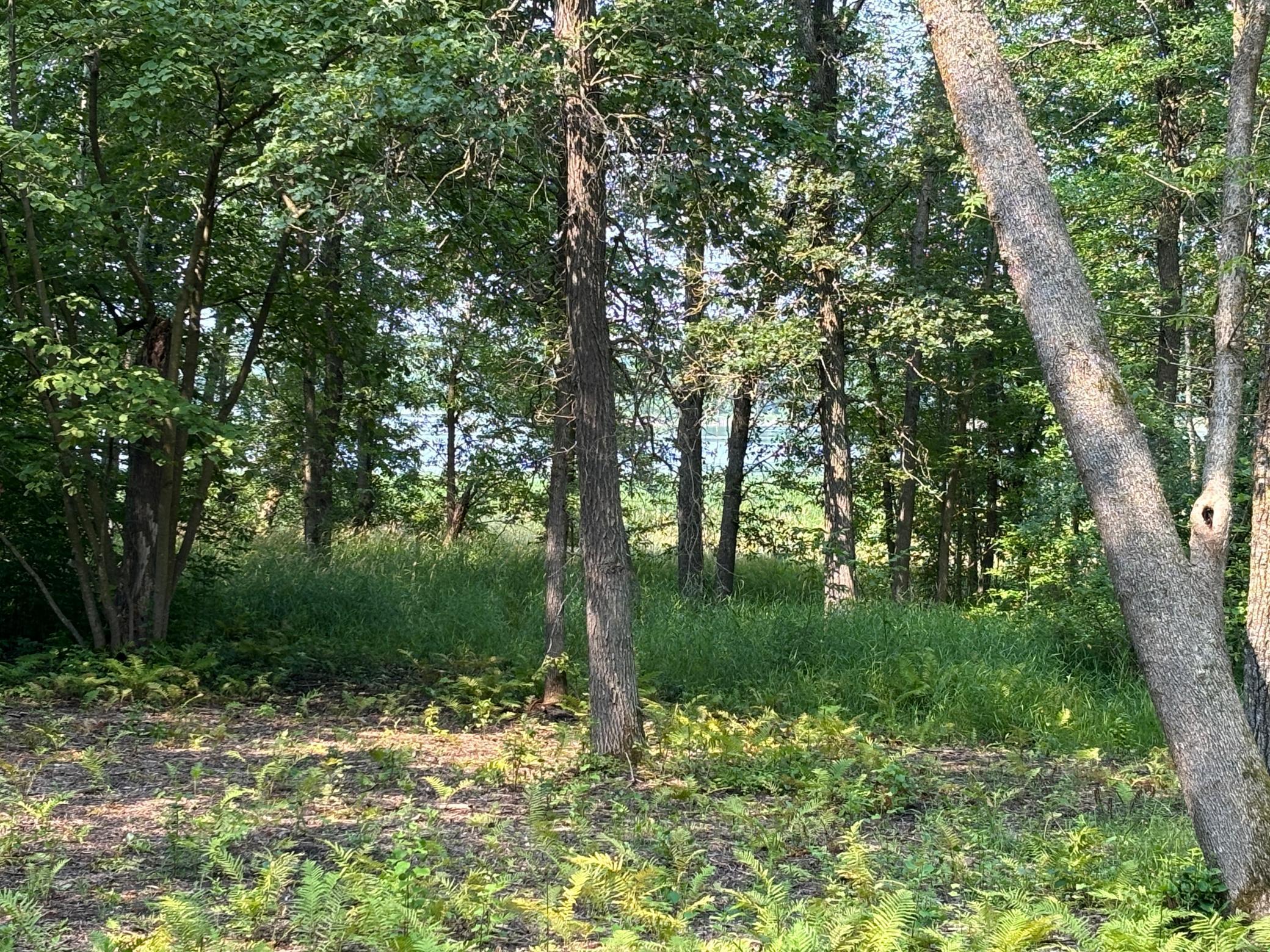 1250 Island Lake Resort Drive, Lengby, Minnesota image 3