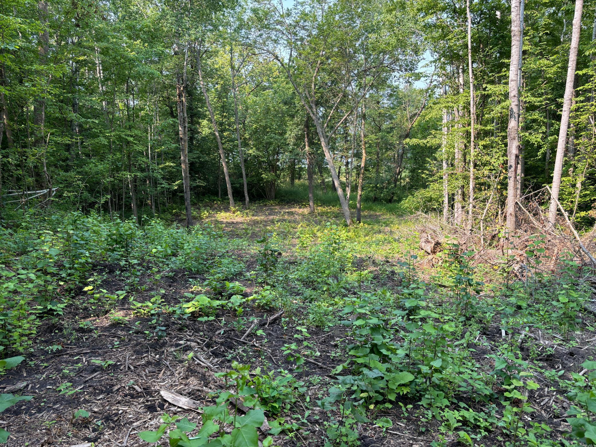 1250 Island Lake Resort Drive, Lengby, Minnesota image 6