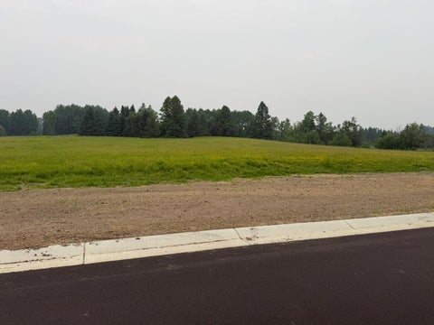 Vacant Land For Sale - LOT 3 BLOCK 1 Eldien Dr<br/> Cook, MN 55723