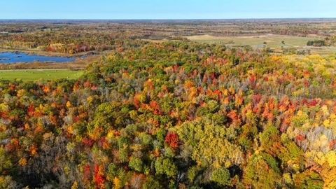Vacant Land For Sale - TBD Skyview Street<br/> Kanabec County, Brook Park, MN 55007