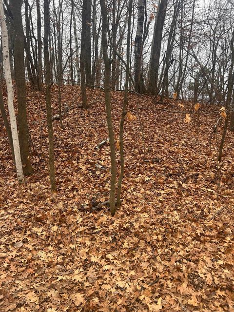 Vacant Land For Sale - TBD Golf Course Cir<br/> Cushing, MN 56443