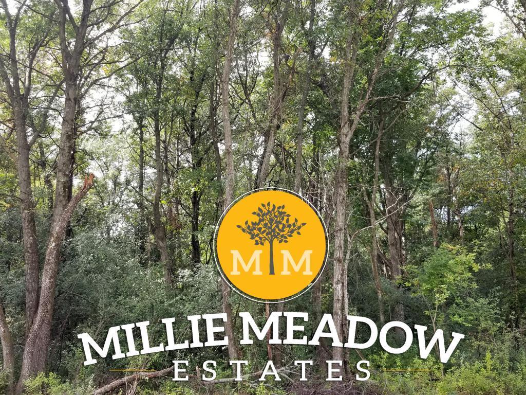 5046 Millie Road, Rochester, Minnesota image 1