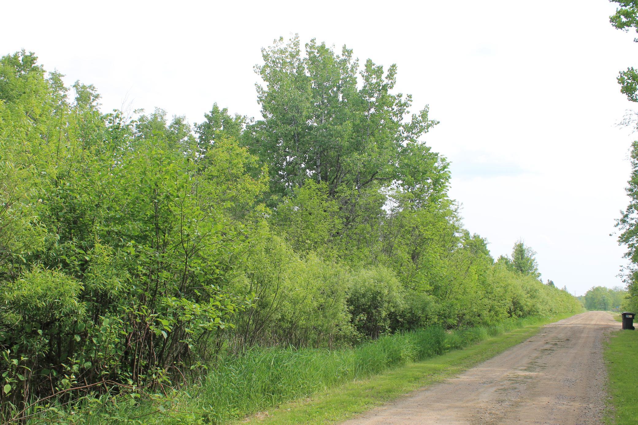 TBD Feeley 3, Warba, Minnesota image 5