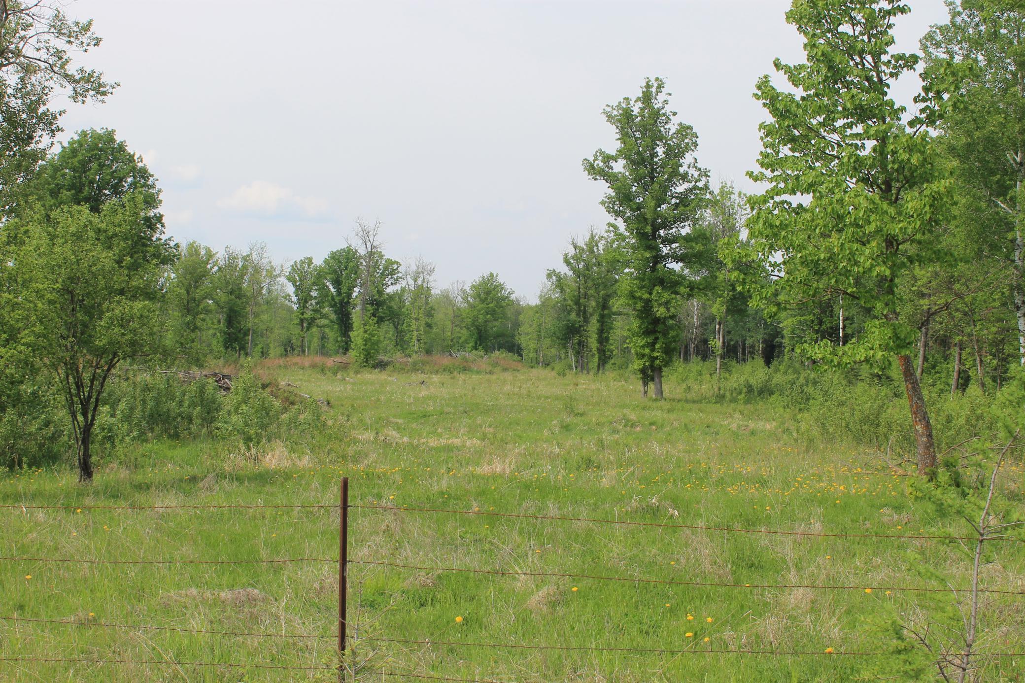 TBD Feeley 3, Warba, Minnesota image 3