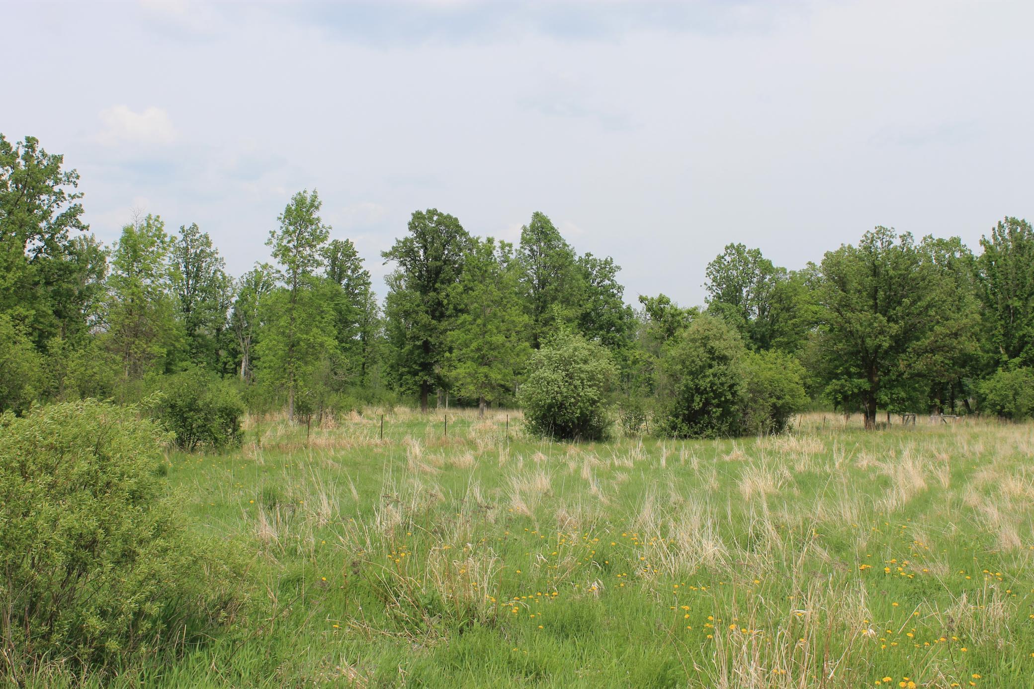 TBD Feeley 3, Warba, Minnesota image 4