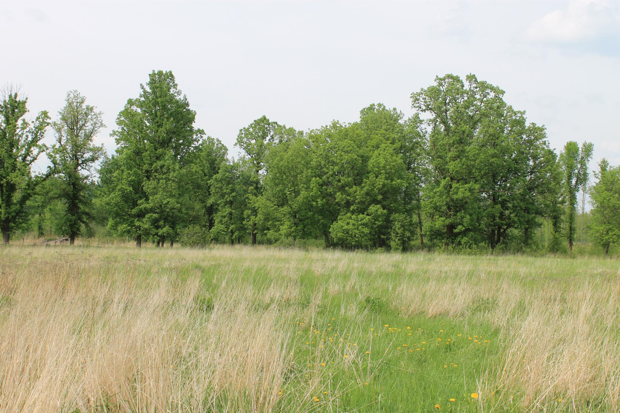 TBD Feeley 3, Warba, Minnesota image 1
