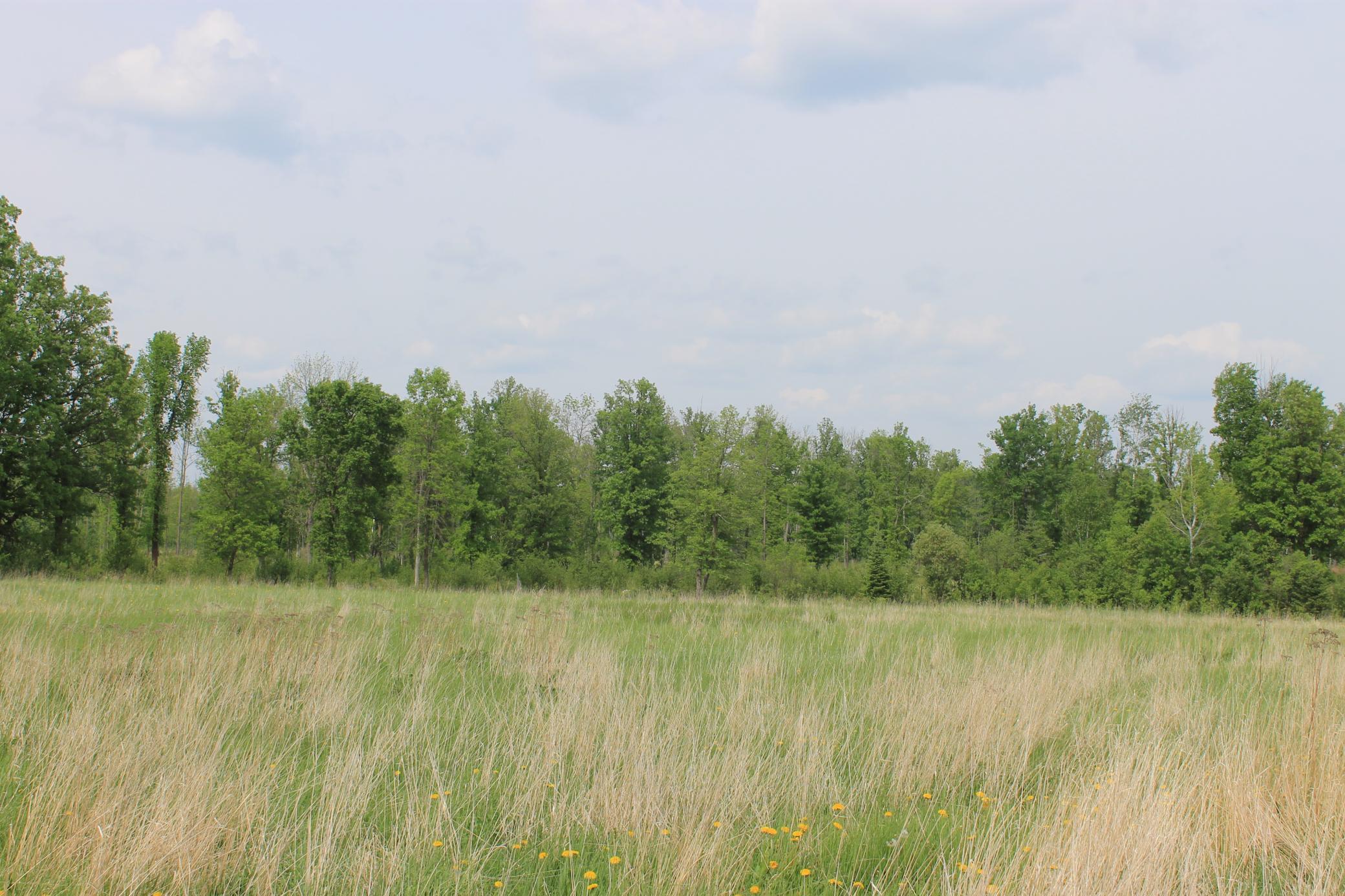 TBD Feeley 3, Warba, Minnesota image 2
