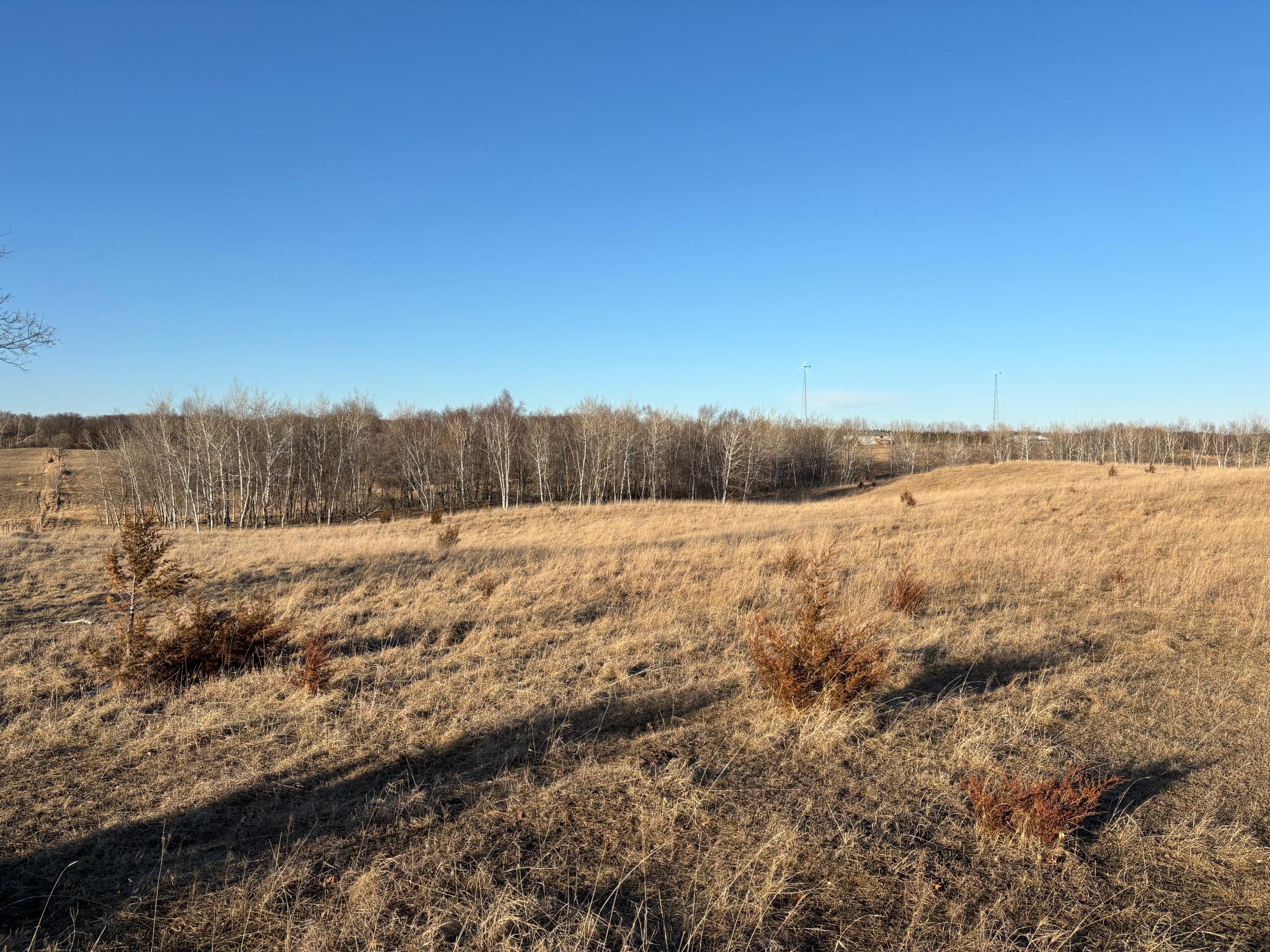 TBDx Cedar Lake Road, Sauk Centre, Minnesota image 10