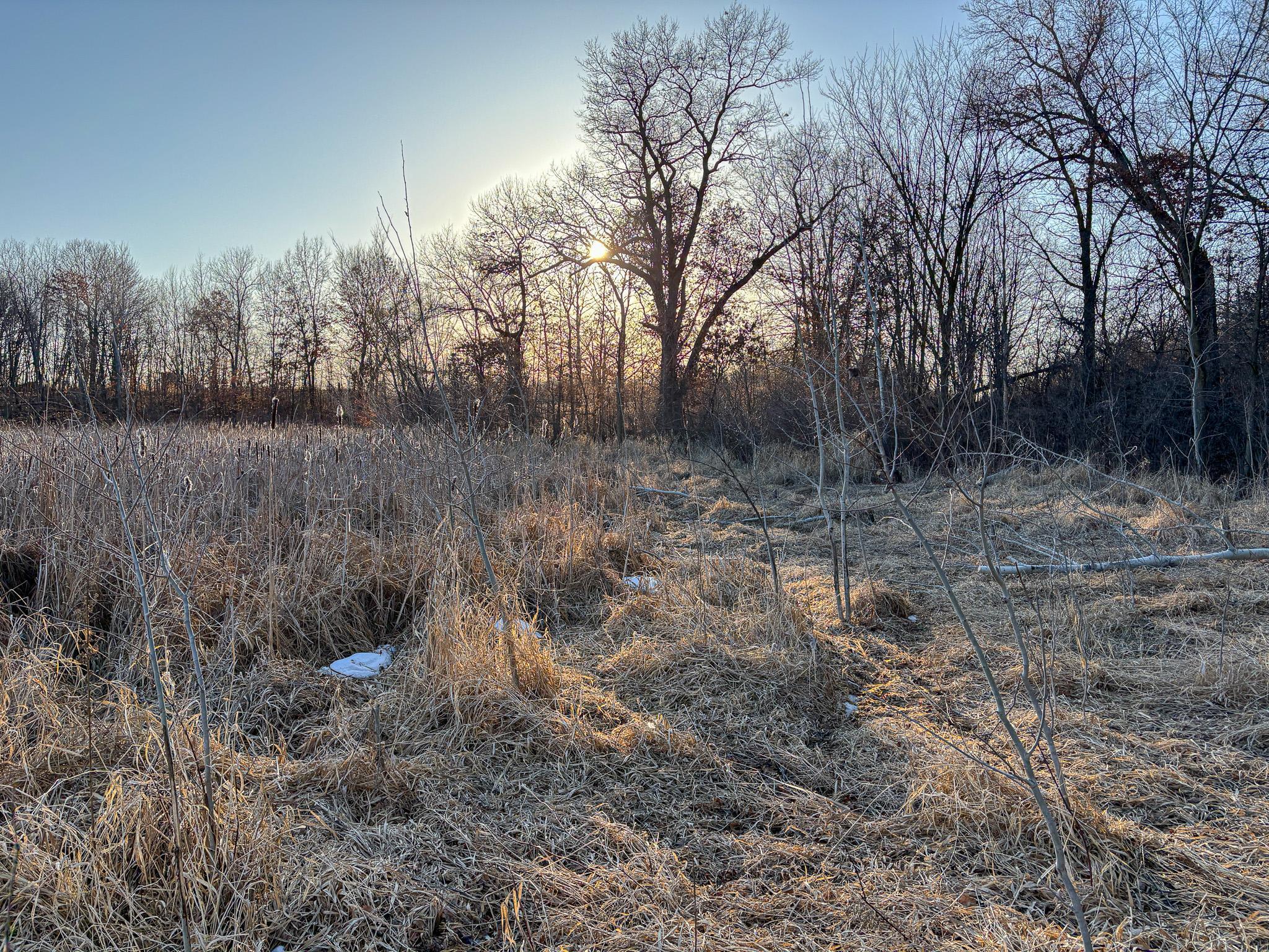 TBDx Cedar Lake Road, Sauk Centre, Minnesota image 12