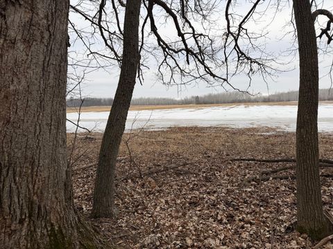Vacant Land For Sale - TBD-B 180th Street<br/> Milaca, MN 56353