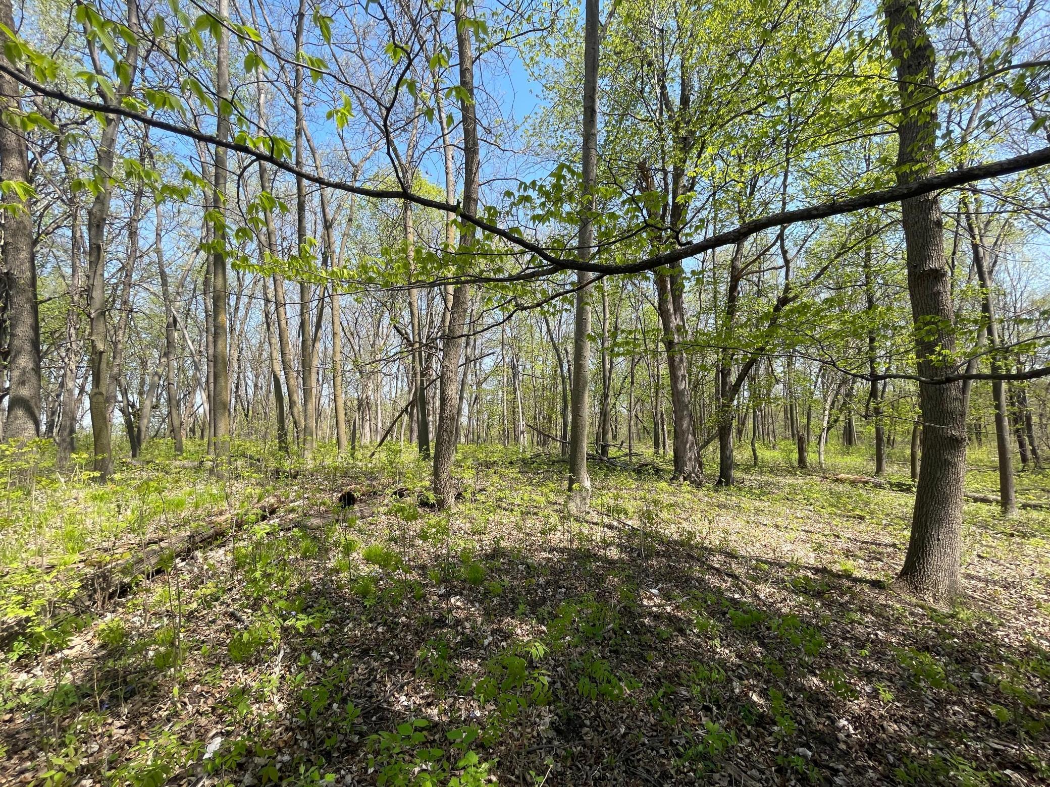 100 Stark Road, Harris, Minnesota image 46