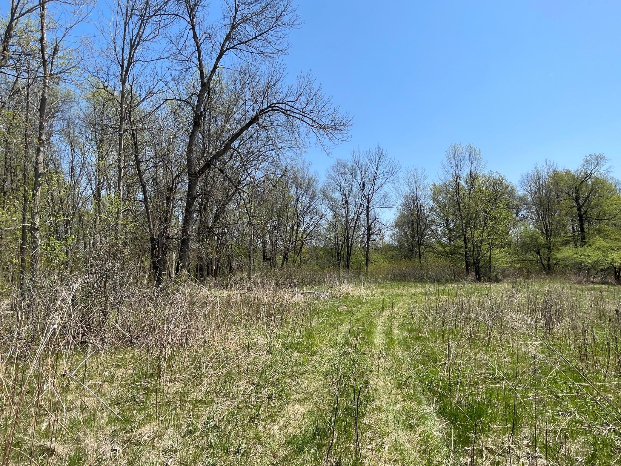 100 Stark Road, Harris, Minnesota image 49
