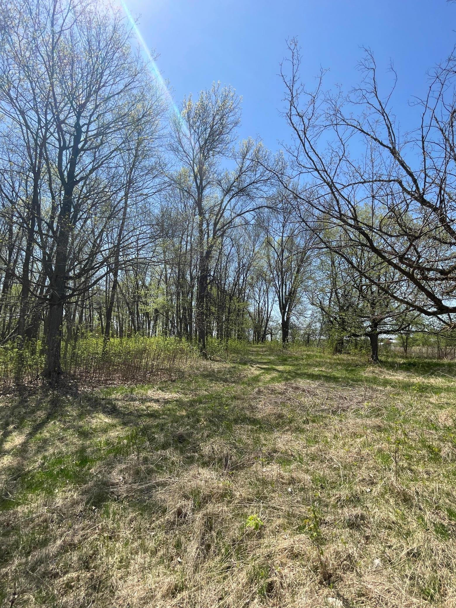 100 Stark Road, Harris, Minnesota image 43