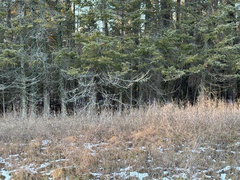 Vacant Land For Sale - XXXX NW County 47<br/> Longville, MN 56655