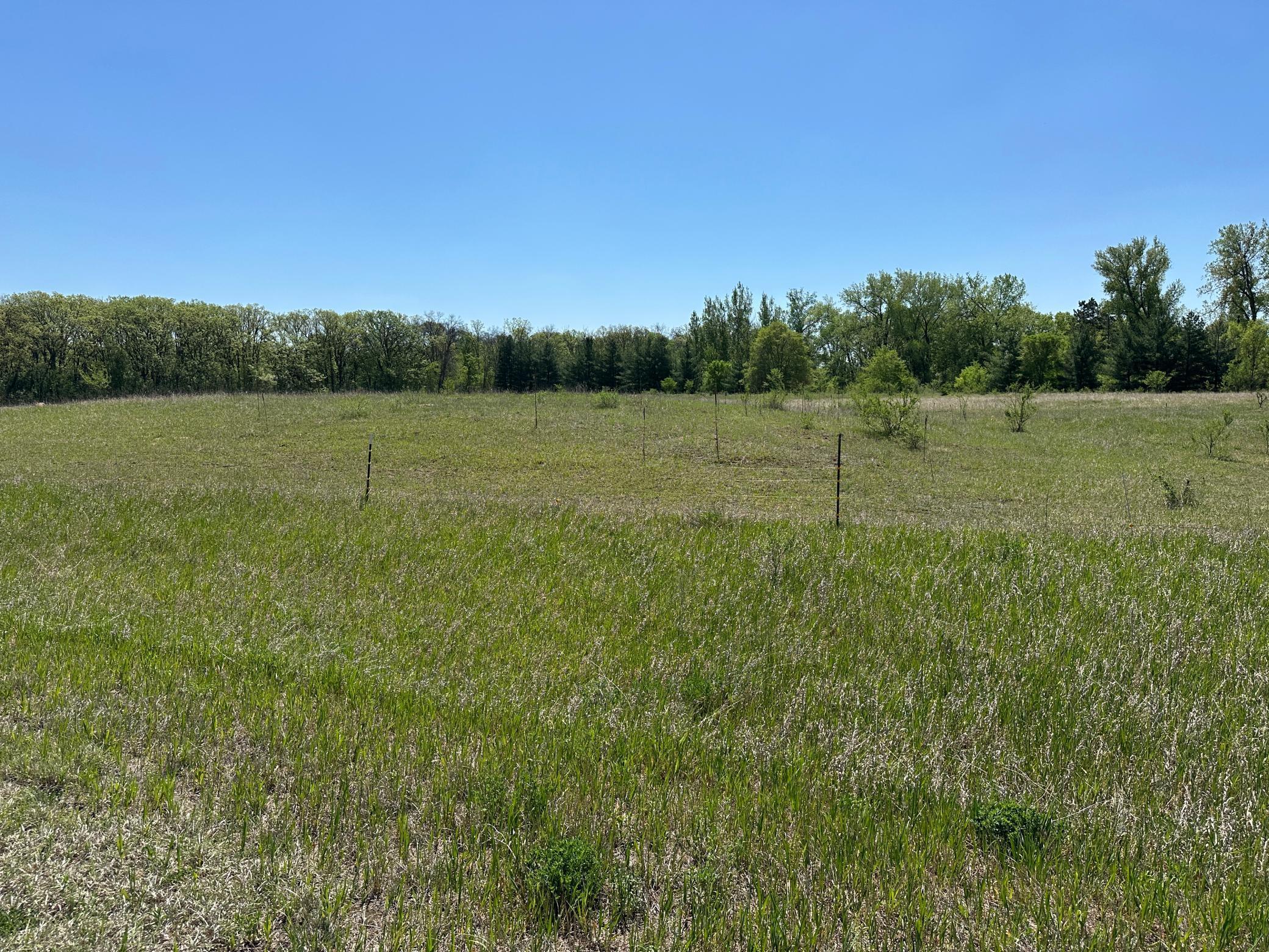 XXX 146th Street, Princeton, Minnesota image 2