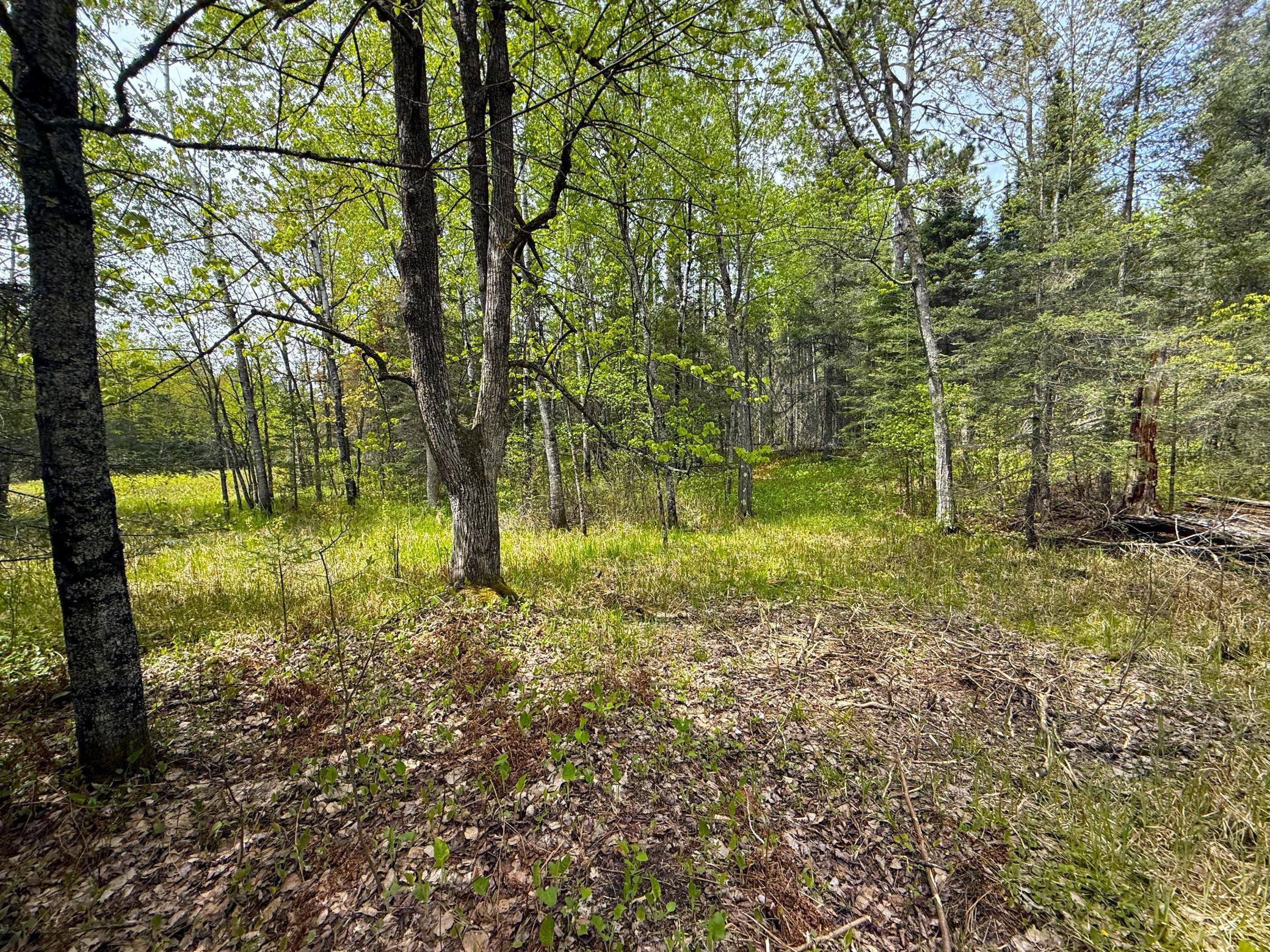 72XX E Central Lakes Road Lot G, Eveleth, Minnesota image 10