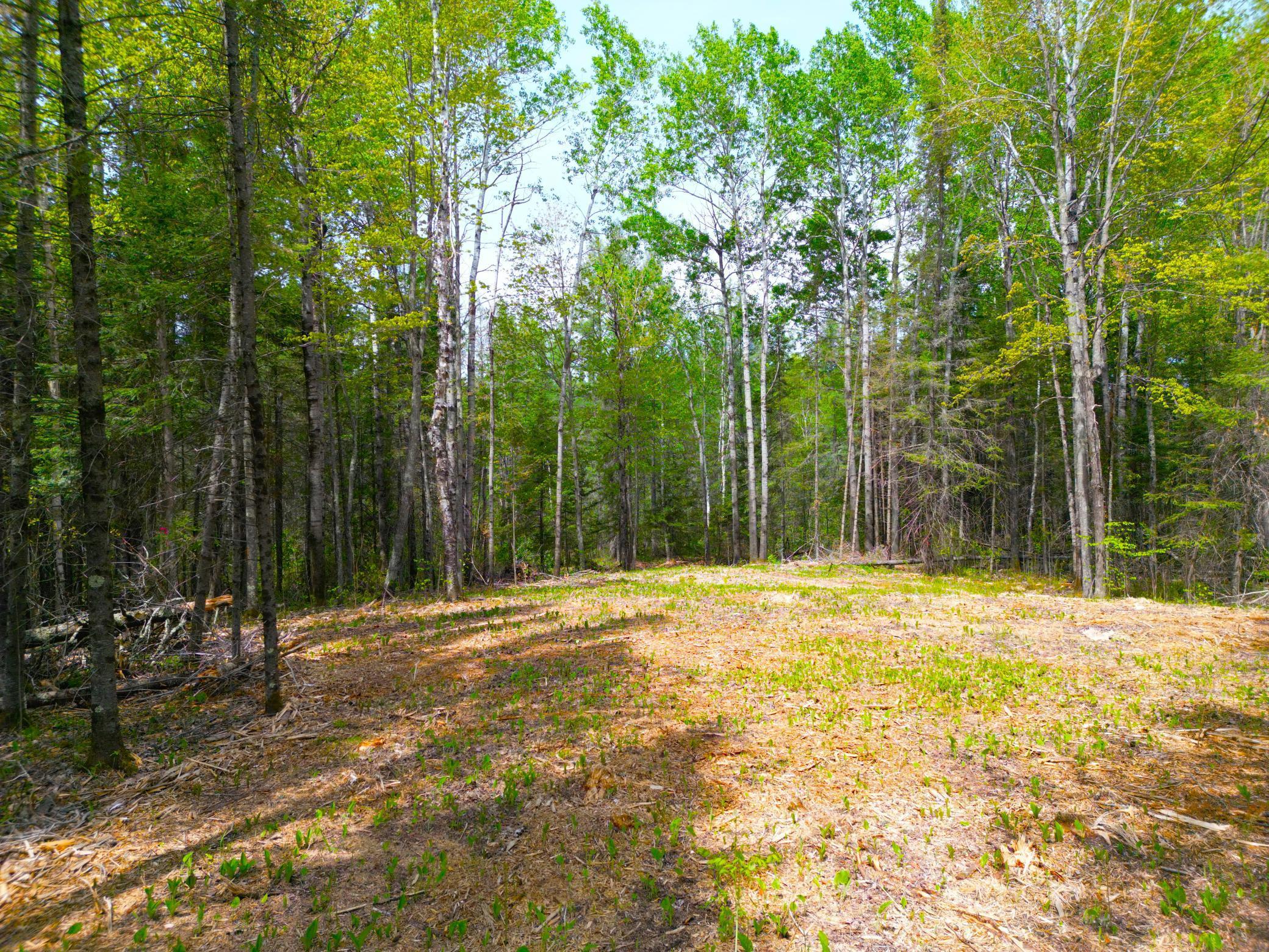 72XX E Central Lakes Road Lot G, Eveleth, Minnesota image 1