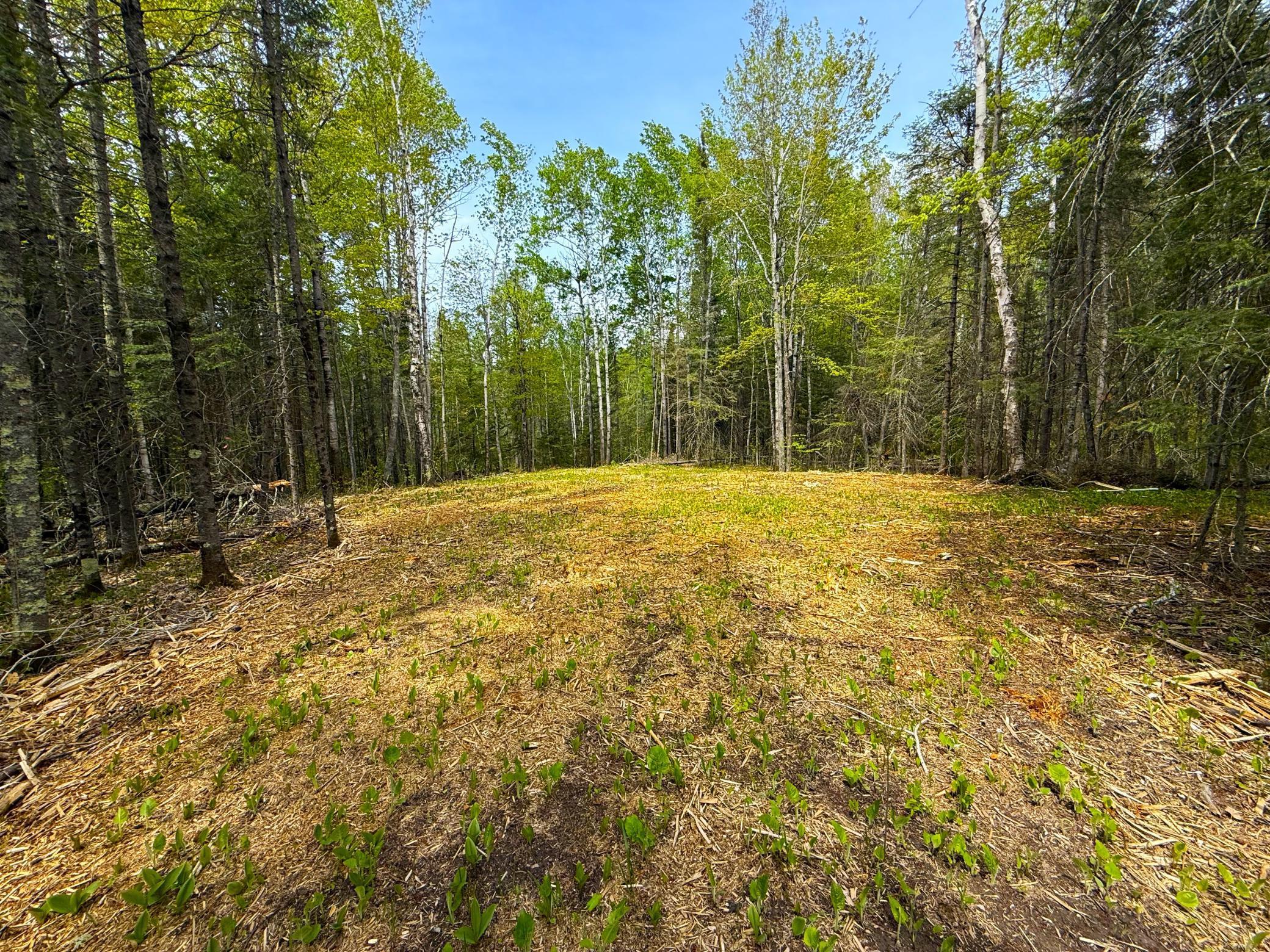 72XX E Central Lakes Road Lot G, Eveleth, Minnesota image 8