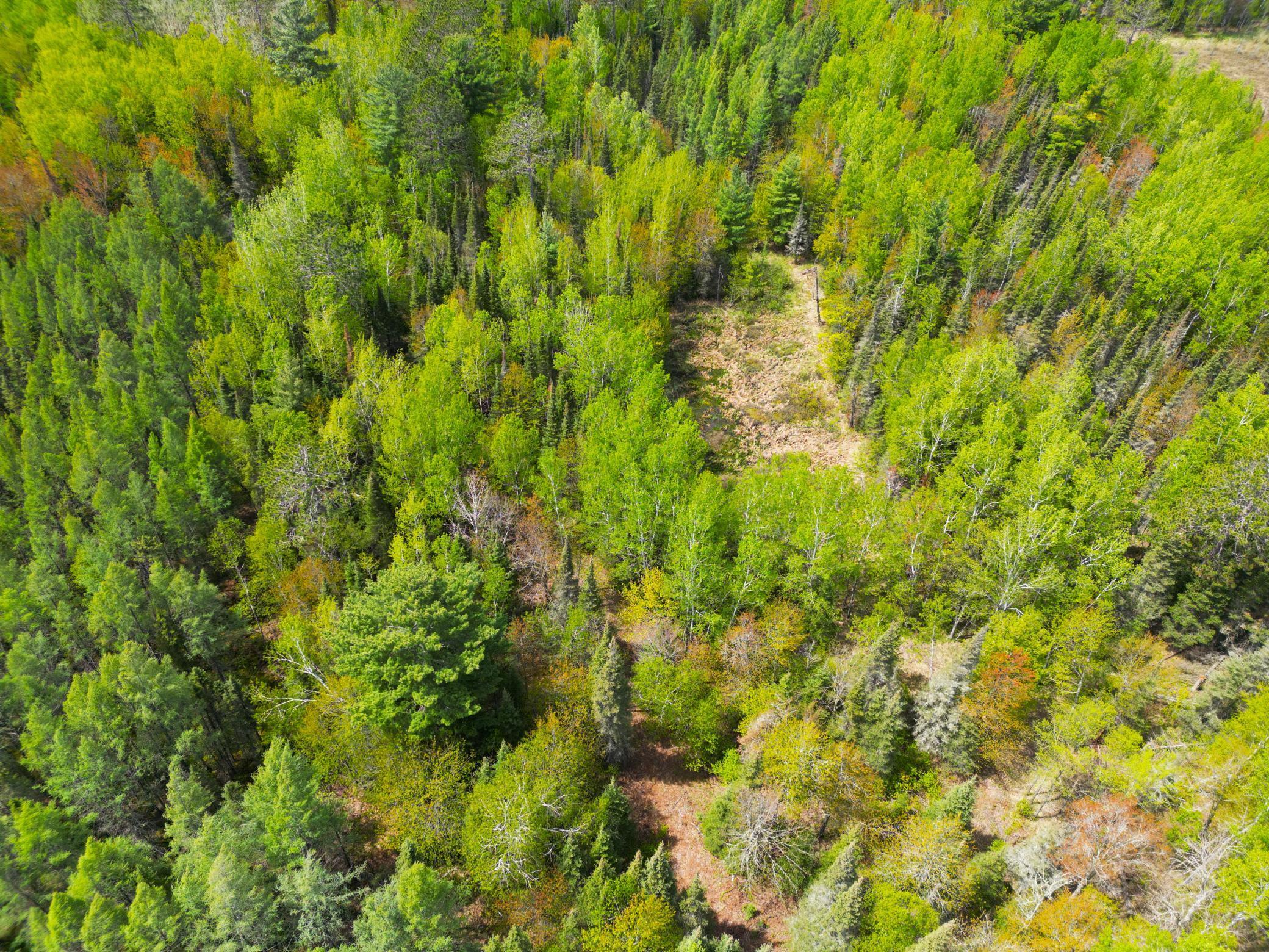 72XX E Central Lakes Road Lot G, Eveleth, Minnesota image 19