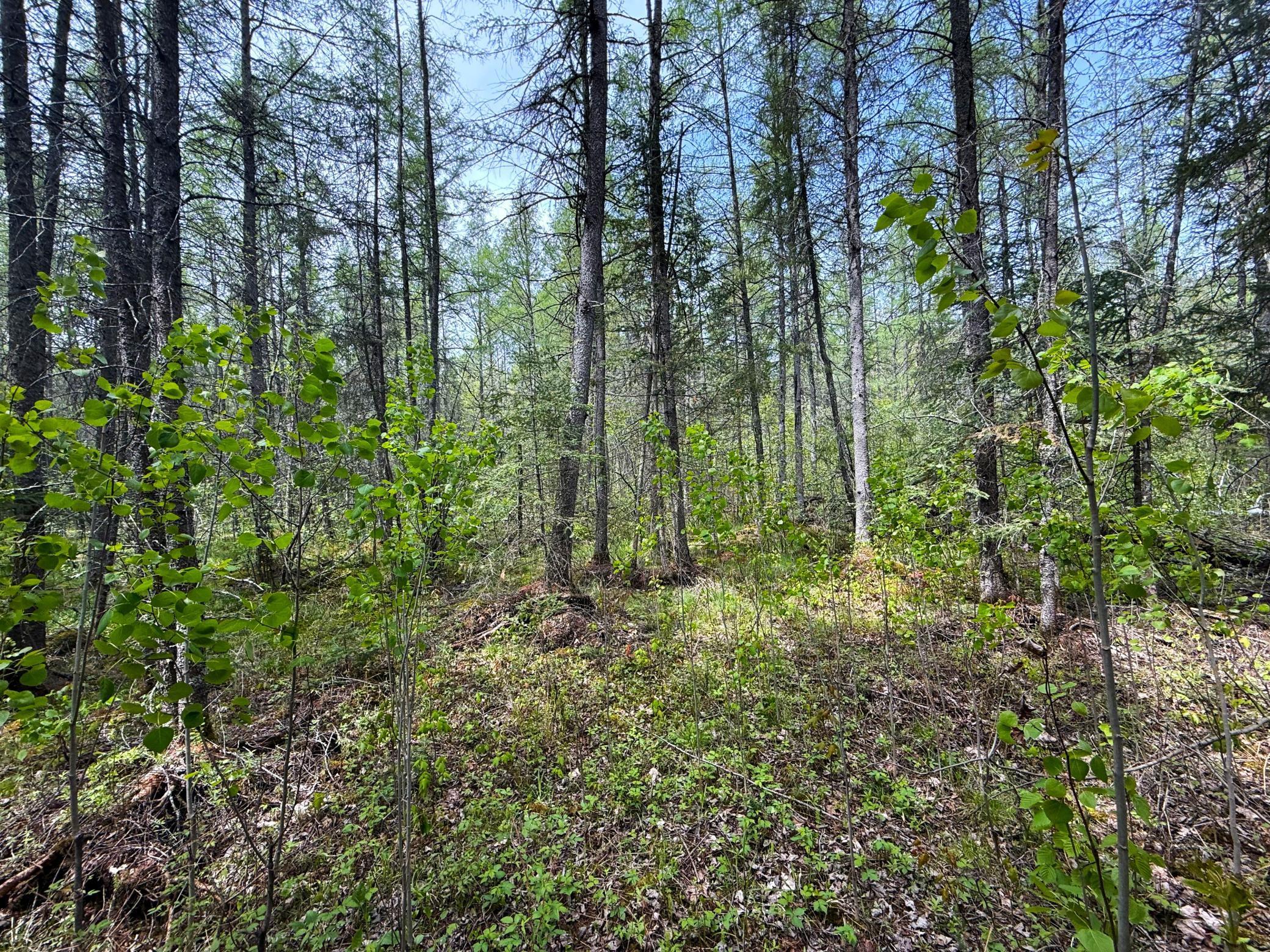 72XX E Central Lakes Road Lot G, Eveleth, Minnesota image 18